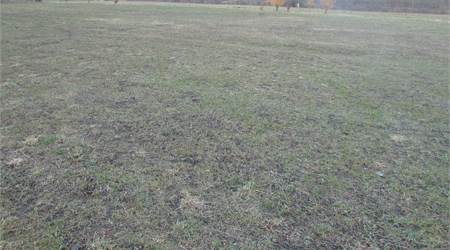 Pinerolo–presi Terreno edificabile z. residenziale